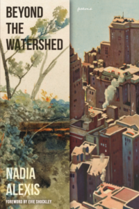 Beyond the Watershed book cover of buildings 